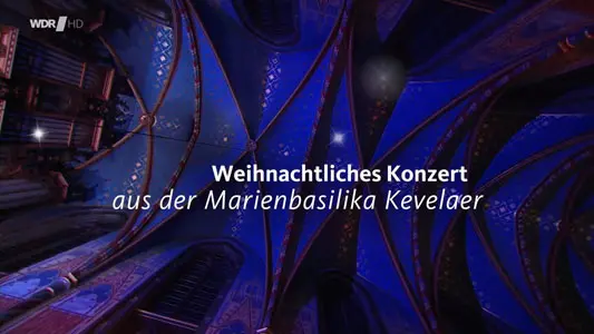 MayerAdvent02